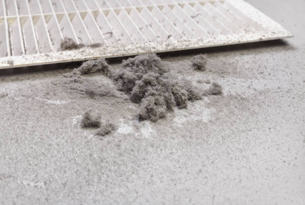 Best Affordable Duct Cleaning Services  in Penn Yan, NY